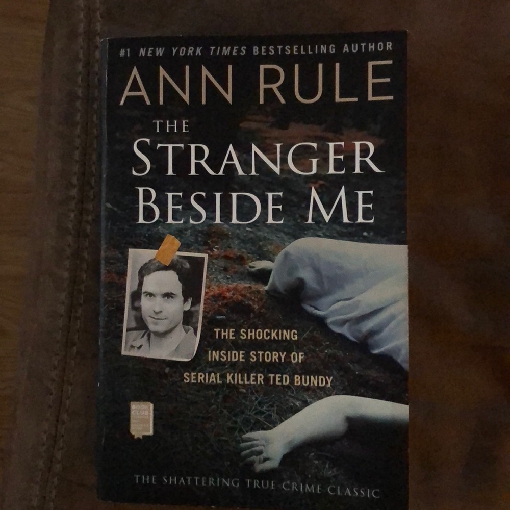 Paperback Book - The stranger beside me